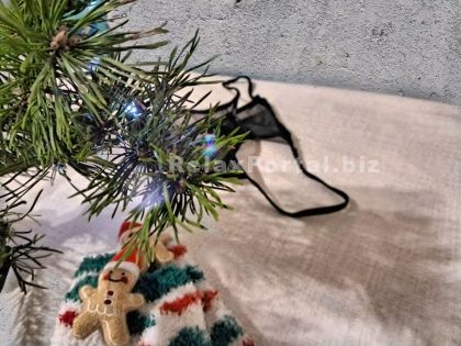 Kyiv Escort : Galya
 – photo 1